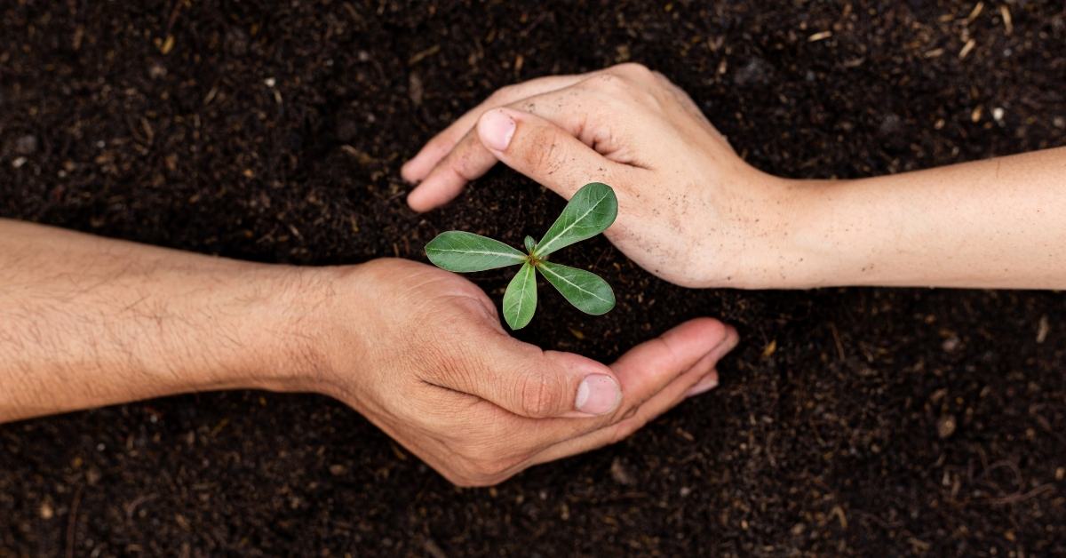 5 Beautiful Assamese Poems On Nature