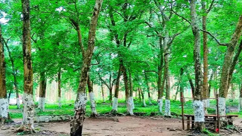 Amsoi Hills picnic spot in Assam