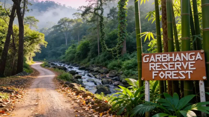 Garbhanga Forest Reserve picnic spot in Assam