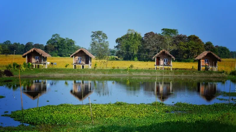Majuli River Island picnic spot in Assam