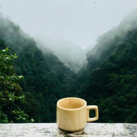 Top 30 Good Morning Quotes In Assamese